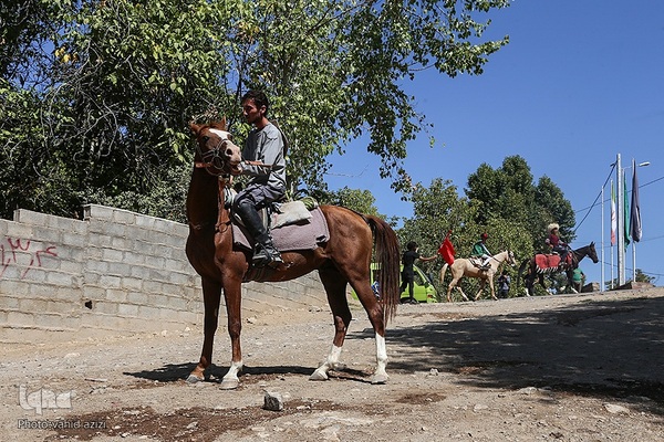 سوارکاران خراسان شمالی در راه مشهد