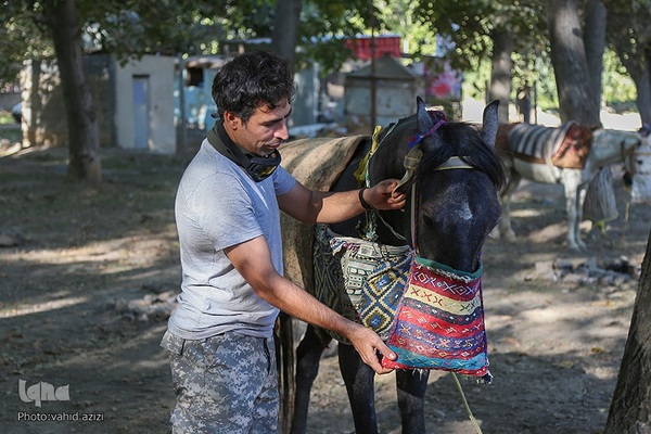 سوارکاران خراسان شمالی در راه مشهد