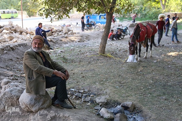 سوارکاران خراسان شمالی در راه مشهد