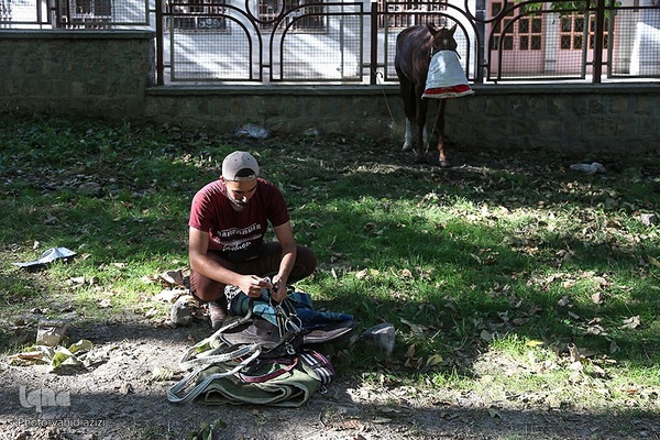 سوارکاران خراسان شمالی در راه مشهد