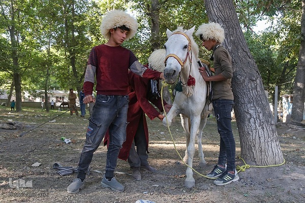 سوارکاران خراسان شمالی در راه مشهد