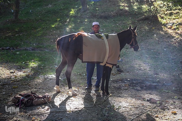 سوارکاران خراسان شمالی در راه مشهد