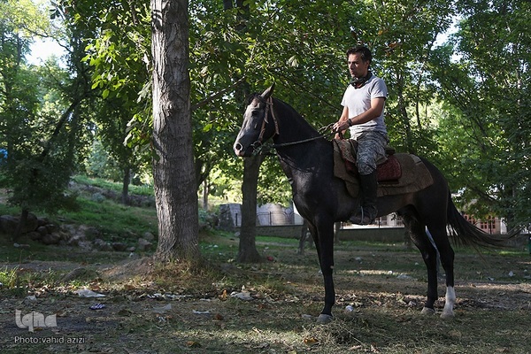 سوارکاران خراسان شمالی در راه مشهد