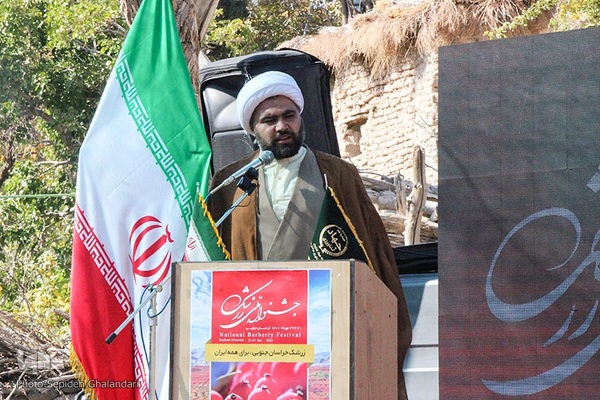 جشنواره ملی زرشک در خراسان جنوبی