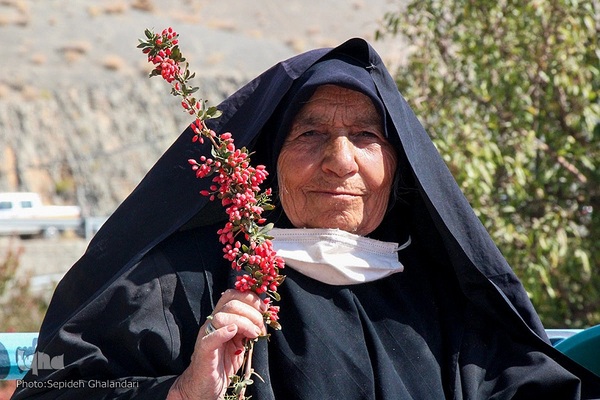جشنواره ملی زرشک در خراسان جنوبی