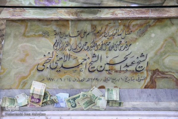 کتابخانه علامه امینی