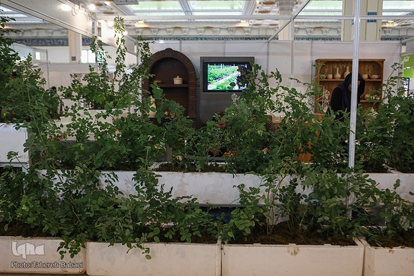 ششمین جشنواره و نمایشگاه ملی گیاهان دارویی و فرآورده‌های طبیعی طب سنتی ایران