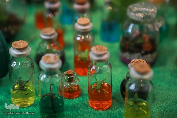 ششمین جشنواره و نمایشگاه ملی گیاهان دارویی و فرآورده‌های طبیعی طب سنتی ایران