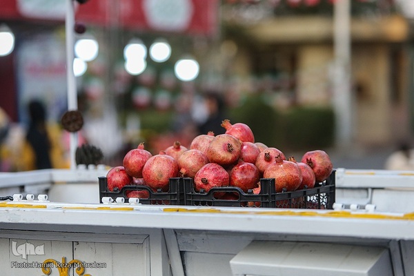جشنواره "صد دانه یاقوت"