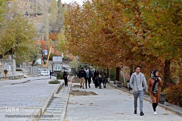 برگریزان پاییزی در همدان