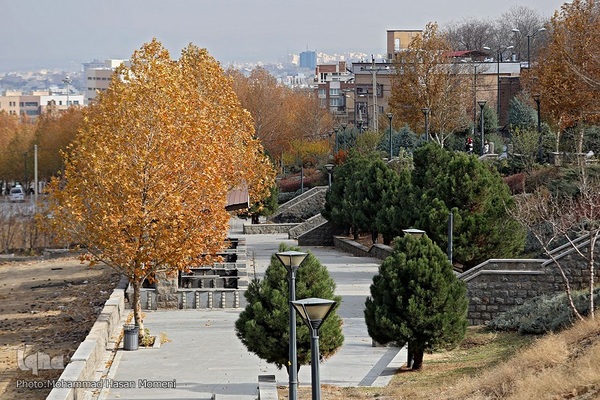 برگریزان پاییزی در همدان