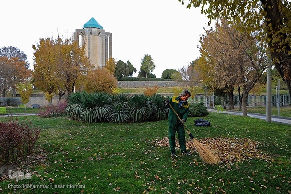 برگریزان پاییزی در همدان