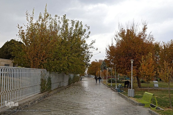 برگریزان پاییزی در همدان