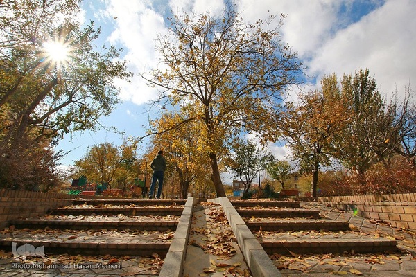 برگریزان پاییزی در همدان