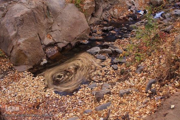 برگریزان پاییزی در همدان