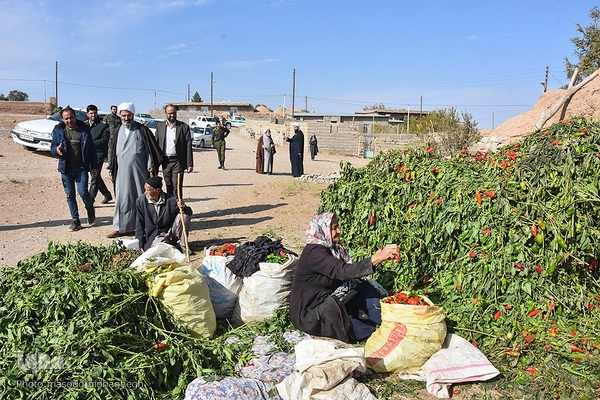 سرکشی نماینده ولی فقیه در استان سمنان از مناطق محروم بخش بیارجمند