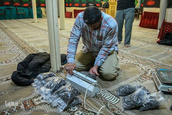 یلدای فاطمی