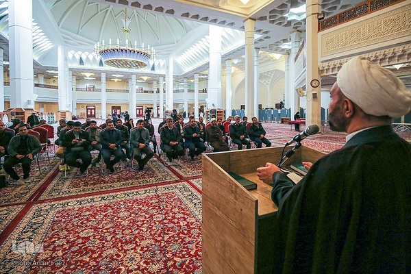 نقش حبیب‎‎