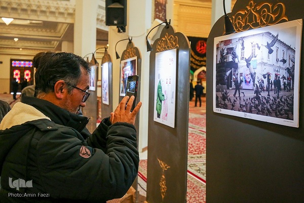 نقش حبیب‎‎