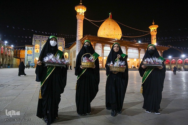 سیب بهشتی‎‎