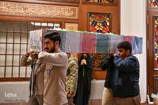 سیب بهشتی‎‎