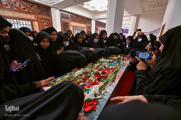 سیب بهشتی‎‎