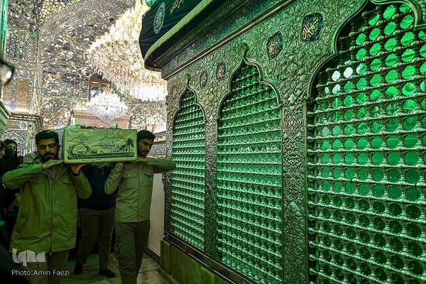 سیب بهشتی‎‎