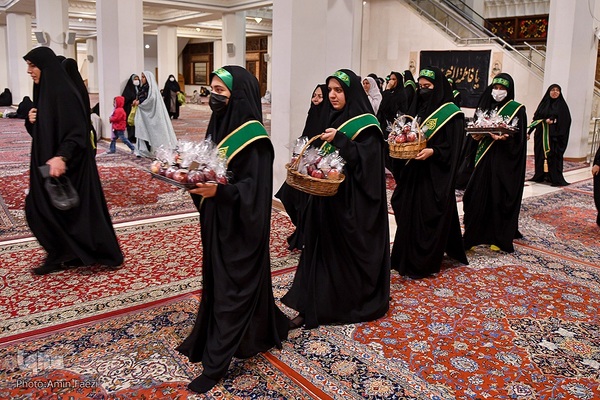 سیب بهشتی‎‎