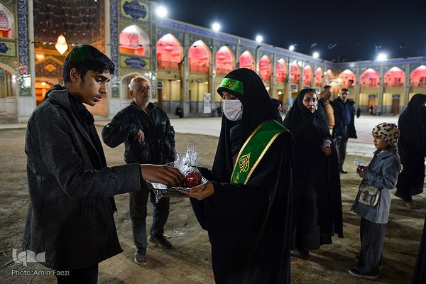 سیب بهشتی‎‎