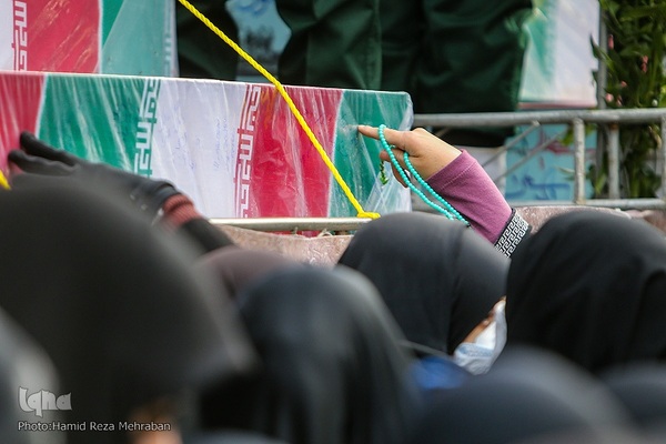 شمیم عطر یاس در تهران وزیدن گرفت