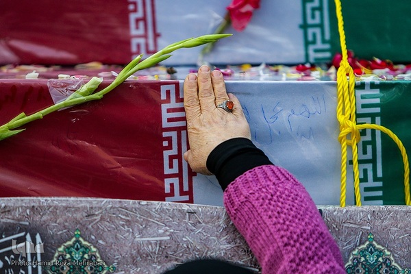 شمیم عطر یاس در تهران وزیدن گرفت