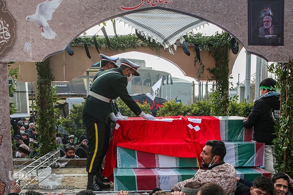 شمیم عطر یاس در تهران وزیدن گرفت