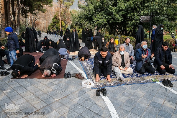 شمیم عطر یاس در تهران وزیدن گرفت