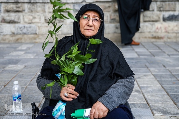 شمیم عطر یاس در تهران وزیدن گرفت