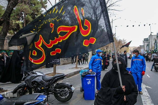 شمیم عطر یاس در تهران وزیدن گرفت