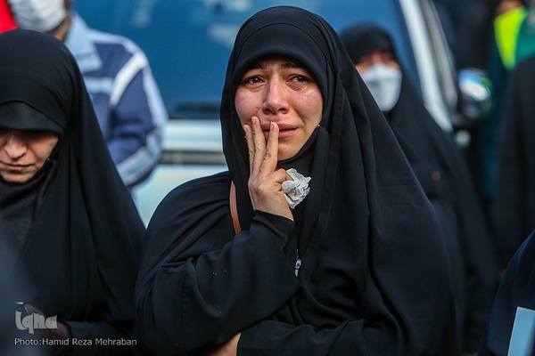 شمیم عطر یاس در تهران وزیدن گرفت