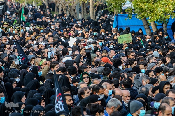 شمیم عطر یاس در تهران وزیدن گرفت