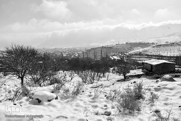 رخت‌سفید زمستان بر تن شهمیرزاد