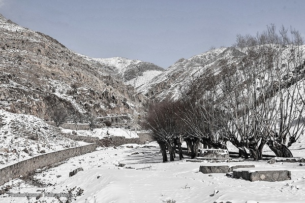 رخت‌سفید زمستان بر تن شهمیرزاد