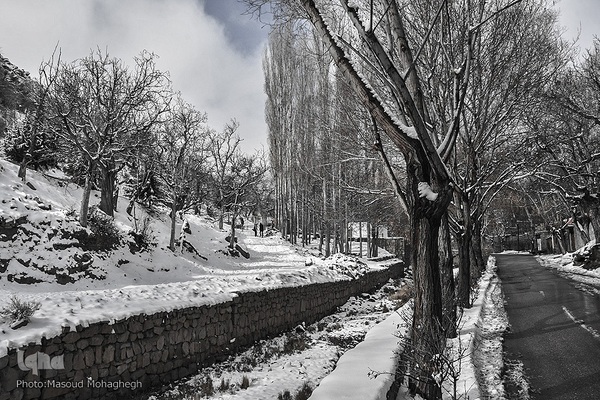 رخت‌سفید زمستان بر تن شهمیرزاد