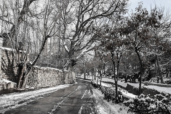 رخت‌سفید زمستان بر تن شهمیرزاد