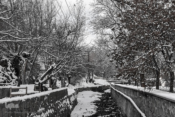رخت‌سفید زمستان بر تن شهمیرزاد