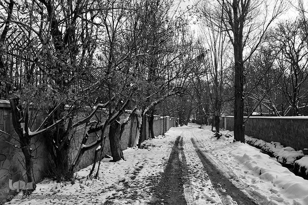 رخت‌سفید زمستان بر تن شهمیرزاد