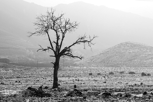 رخت‌سفید زمستان بر تن شهمیرزاد