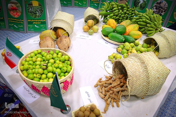 بازدیدرهبر انقلاب از نمایشگاه توانمندی‌های صنعتی