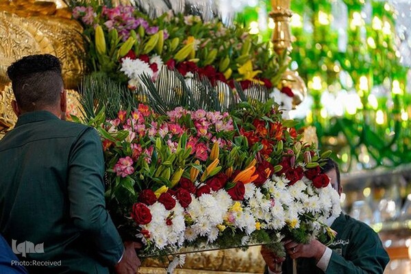 گل آرایی ضریح‌مطهر علوی به مناسبت سالروز ولادت امیرالمومنین حضرت علی (ع)