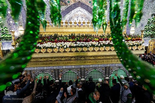 گل آرایی ضریح‌مطهر علوی به مناسبت سالروز ولادت امیرالمومنین حضرت علی (ع)