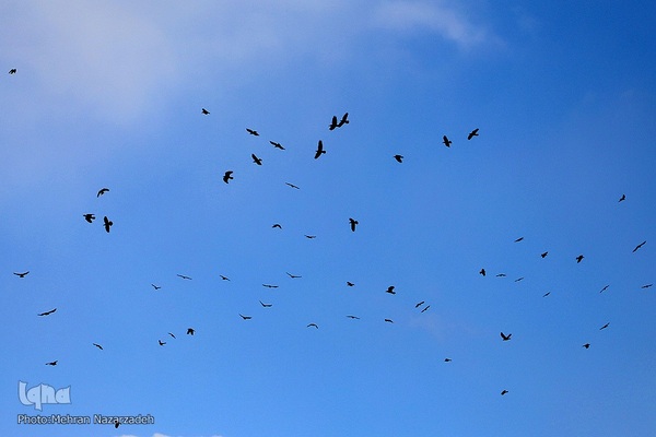 زندگی جاری است