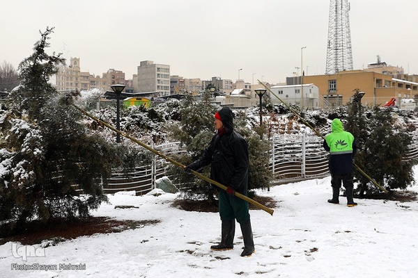تهران برفی