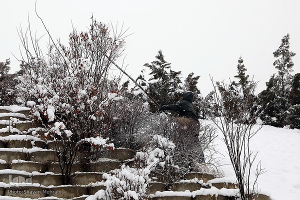 تهران برفی